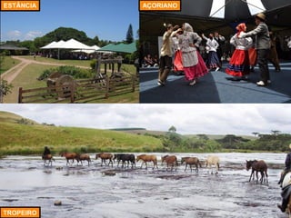 TROPEIRO 
ESTÂNCIA 
AÇORIANO  
