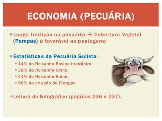 Longa tradição na pecuária  Cobertura Vegetal (Pampas) é favorável as pastagens; 
Estatísticas da Pecuária Sulista: 
14% do Rebanho Bovino brasileiro; 
38% do Rebanho Ovino; 
44% do Rebanho Suíno; 
50% da criação de Frangos 
Leitura do Infográfico (páginas 236 e 237). 
ECONOMIA (PECUÁRIA)  