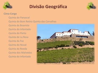 Divisão Geográfica
Cima-Corgo
Quinta do Panascal
Quinta do Bom Retiro Quinta das Carvalhas
Quinta da Boavista
Quinta do Infantado
Quinta do Porto
Quinta de La Rosa
Quinta da Foz
Quinta do Noval
Quinta da Roeda
Quinta dos Malvedos
Quinta do Infantado
 