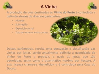 A Vinha
A produção de uvas destinadas ao Vinho do Porto é controlada e
definida através de diversos parâmetros:
• Altitude
• Sub-região
• Exposição ao sol
• Tipo de terreno, entre outros.
Destes parâmetros, resulta uma pontuação e classificação das
vinhas por letras, sendo anualmente definida a quantidade de
Vinho do Porto a produzir, e quais as letras que são
permitidas, assim como o quantitativo máximo por hectare. A
esta licença chama-se «benefício» e é controlada pela Casa do
Douro.
 