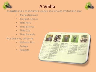 A Vinha
As castas mais importantes usadas no vinho do Porto tinto são:
• Touriga Nacional
• Touriga Francesa
• Tinta Roriz
• Tinta Barroca
• Tinto Cão
• Tinta Amarela
Nos brancos, utiliza-se:
• Malvasia Fina
• Codega
• Rabigato
 