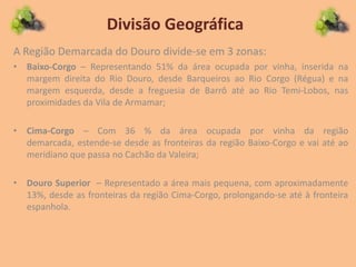 Divisão Geográfica
A Região Demarcada do Douro divide-se em 3 zonas:
• Baixo-Corgo – Representando 51% da área ocupada por vinha, inserida na
margem direita do Rio Douro, desde Barqueiros ao Rio Corgo (Régua) e na
margem esquerda, desde a freguesia de Barrô até ao Rio Temi-Lobos, nas
proximidades da Vila de Armamar;
• Cima-Corgo – Com 36 % da área ocupada por vinha da região
demarcada, estende-se desde as fronteiras da região Baixo-Corgo e vai até ao
meridiano que passa no Cachão da Valeira;
• Douro Superior – Representado a área mais pequena, com aproximadamente
13%, desde as fronteiras da região Cima-Corgo, prolongando-se até à fronteira
espanhola.
 