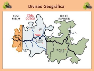 Divisão Geográfica
 
