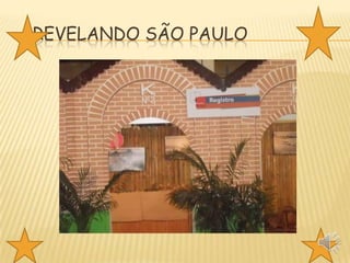 REVELANDO SÃO PAULO

 