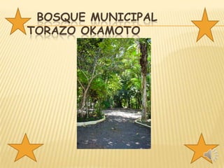 BOSQUE MUNICIPAL
TORAZO OKAMOTO

 
