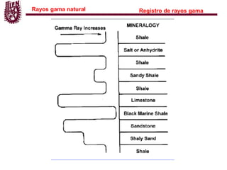 Registro de rayos gamma.pdf