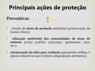Intervencionistas
Principais ações de proteção
 Reflorestamento de plantas nativas (uma vegetação
adequada pode ser uma ótima barreira contra a
insolação, os insetos);
 Limpeza de materiais que possam atrair animais
indesejáveis perto dos sítios (ex.: madeira em
decomposição atrai os cupins); eliminação mecânica
de ninhos e galerias de insetos, colônias de
microrganismos;
 Construção de pingadeiras para desviar o curso da
água sobre as pinturas;
 