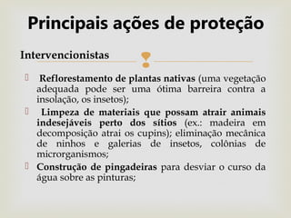 
 Precipitação Pluviométrica Integridade
 Número de registros(levantamento periódico)
 Altura do registro com relação ao solo
 Situação no relevo e vegetação
 Presença de água
 Cores
 Croqui
O que se deve observações
para preservar:
 