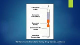 Hidrófono. Fuente: International Training Group Technical Assistances
 