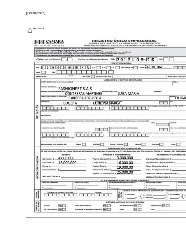 Registro unico empresarial pau