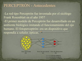 PERCEPTRÓN - Antecedentes -La red tipo Perceptrón fue inventada por el sicólogo Frank Rosenblatt en el año 1957 -El primer modelo de Perceptrón fue desarrollado en un ambiente biológico imitando el funcionamiento del ojo humano. El fotoperceptrón: era un dispositivo que respondía a señales ópticas. 