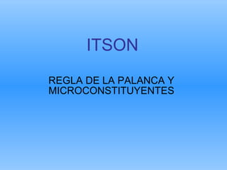 ITSON REGLA DE LA PALANCA Y MICROCONSTITUYENTES 