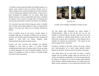 -A menudo es mejor pasar por debajo del alambre porque no se
expone como cuando lo hace por encima. Primero cruce la
cabeza. Deslícese boca arriba por debajo de los hilos inferiores
y use los talones para empujarse hacia delante. Avance poco a
poco levantando los alambres con sus manos. Palpe hacia
delante mientras se mueve, puede haber hilos bajos o alambres
de tropiezo. Lleve su arma a lo largo sobre el estómago para
que tenga las manos libres. No hale ni dé tirones a los alambres.
-Si es necesario que para avanzar tenga que cortar el alambre
(Fig. 79) sólo corte los hilos inferiores y deje en su lugar el hilo
superior. Esto hace mas difícil que el enemigo descubra la
brecha.
Corte el alambre cerca de una estaca. Cuando alguien le
acompañe haga que él sostenga el alambre con las manos y
envuelva tela, tal como trapos de baqueta de fusil, alrededor del
alambre y corte entre sus manos. Después doble
silenciosamente hacia atrás las puntas sueltas.
Cuando esté solo, envuelva tela alrededor del alambre,
sosténgalo y corte entre su mano y la estaca. Enrolle
cuidadosamente hacia atrás el extremo suelto a fin de que tenga
un camino despejado. No corte un alambre plegable, entre las
estacas o los piquetes es como un resorte y se puede romper
con ruido revelar su presencia.
(Fig. No.79)
Cuando corte el alambre, amortigüe el sonido con tela.
-Su ruta puede estar bloqueada por zanjas anchas y
atrincheramientos. Dado el caso de que esto sea así, con
cuidado y en silencio baje por un lado y suba por el otro. Si la
zanja o trinchera es angosta, puede brincar a través de ella.
Seleccione un punto que se encuentre a cierta distancia de un
empalme de trinchera de comunicación. Este seguro de que
tiene un agarre firme y silencioso.
Levántese y brinque al otro lado. Aterrice en un pie y déjese
caer silenciosamente en el suelo, luego quédese inmóvil
durante un momento. Escuche antes de levantarse y proseguir.
-Esté alerta acerca de los otros tipos de minas y evítelas
siempre que sea posible, aunque tenga que desviarse de su
camino una distancia considerable. Las rutas de aproximación,
las zanjas y los bancos de los cursos de agua frecuentemente
están minadas y deberán inspeccionarse con cuidado, para esto
ábrase camino lentamente. Use sus manos para descubrir si hay
 