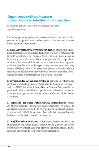 Organismos exóticos invasores,
prevención de su introducción y dispersión
Recommendations to prevent introduction of exotic
aquatic organisms


Existen organismos peligrosos con riesgo de introducción y/o dis-
persión en Argentina que pueden afectar a las pesquerías, entre
ellos se pueden mencionar:

El alga Didymosphenia geminata (Didymo): organismo unice-
lular, microscópico, originario del hemisferio norte. Actualmente
invadió ambientes en Canadá, EEUU, Europa, Asia y Nueva
Zelanda y recientemente Chile y Argentina. Este organismo
se fija en las rocas del fondo con una sustancia mucilaginosa
y forma grandes masas de aspecto algodonoso marrones muy
desagradables y nocivas. Su presencia genera profundos efectos
negativos en el ambiente provocando la declinación de las pobla-
ciones de peces e invertebrados. No afecta al hombre.

El myxosporídeo Myxobolus cerebralis provoca la enfermedad
del torneo o whirling disease. Originario de Europa, se ha disper-
sado en EEUU, Sudáfrica, Rusia y Nueva Zelanda. Este parásito ha
provocado alta mortalidad en poblaciones silvestres de trucha
arco iris. La Argentina está libre de esta enfermedad. No afecta
al hombre.

El caracolito del barro Potamopyrgus antipodarum: nativo
de Nueva Zelanda, introducido accidentalmente en aguas de
Australia, Europa y EEUU. Es de muy pequeño tamaño (5 o 6 mm)
y por lo tanto difícil de ver en el barro de los equipos. Provoca
indirectamente la declinación de los peces.

El mejillón Zebra Dreissena polymorpha nativo de Rusia, se
introdujo en los Países Bajos, Suecia, Canadá y EEUU. Los daños
económicos y ambientales que provoca son muy graves, dismi-
nuyendo las presas de los peces y sus poblaciones.




64
 