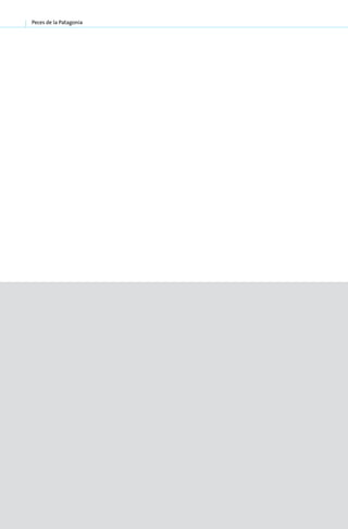 Peces de la Patagonia




74
 