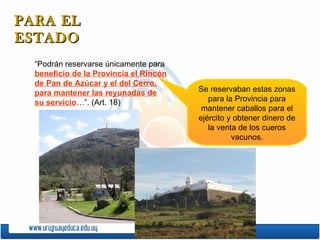 PARA EL ESTADO “Podrán reservarse únicamente para  beneficio de la Provincia el Rincón de Pan de Azúcar y el del Cerro, para mantener las reyunadas de su servicio …”. (Art. 18)  Se reservaban estas zonas para la Provincia para mantener caballos para el ejército y obtener dinero de la venta de los cueros vacunos. 