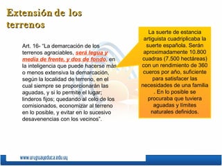 Art. 16- “La demarcación de los terrenos agraciables,  será legua y media de frente, y dos de fondo , en la inteligencia que puede hacerse más o menos extensiva la demarcación, según la localidad de terreno, en el cual siempre se proporcionarán las aguadas, y si lo permite el lugar; linderos fijos; quedando al celo de los comisionados, economizar al terreno en lo posible, y evitar en lo sucesivo desavenencias con los vecinos”. Extensión   de los terrenos La suerte de estancia artiguista cuadriplicaba la suerte española. Serán aproximadamente 10.800 cuadras (7.500 hectáreas) con un rendimiento de 360 cueros por año,  suficiente para satisfacer las necesidades de una familia  . En lo posible se procuraba que tuviera aguadas y límites naturales definidos. 