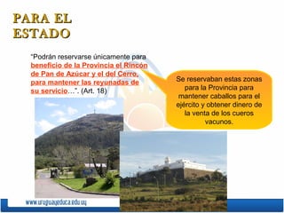 PARA EL
ESTADO
  “Podrán reservarse únicamente para
  beneficio de la Provincia el Rincón
  de Pan de Azúcar y el del Cerro,
  para mantener las reyunadas de        Se reservaban estas zonas
  su servicio…”. (Art. 18)                 para la Provincia para
                                         mantener caballos para el
                                        ejército y obtener dinero de
                                           la venta de los cueros
                                                  vacunos.
 