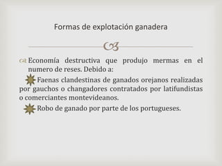 Economía destructiva que produjo mermas en el numero de reses. Debido a:           Faenas clandestinas de ganados orejanos realizadas por gauchos o changadores contratados por latifundistas o comerciantes montevideanos.           Robo de ganado por parte de los portugueses.Formas de explotación ganadera