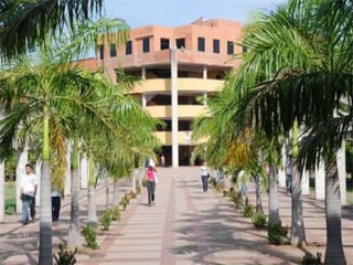 Reglamento institucional.