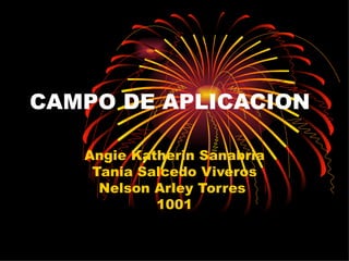 CAMPO DE APLICACION

   Angie Katherin Sanabria
    Tania Salcedo Viveros
     Nelson Arley Torres
            1001
 