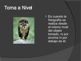 Toma a Nivel Es cuando la fotografía se realiza desde el mismo nivel del objeto tomado, ni por encima ni por debajo de él. 