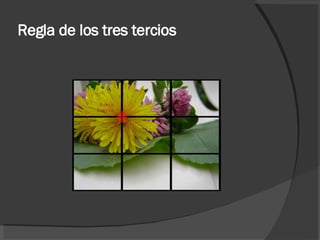 Regla de los tres tercios 