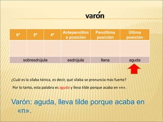 varon
6ª 5ª 4ª
Antepenúltim
a posición
Penúltima
posición
Última
posición
sobresdrújula esdrújula llana aguda
ron
va
¿Cuál es la sílaba tónica, es decir, qué sílaba se pronuncia más fuerte?
Por lo tanto, esta palabra es aguda y lleva tilde porque acaba en «n».
Varón: aguda, lleva tilde porque acaba en
«n».
´
 