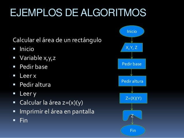 Reglas de la construccion de algoritmo y diagramas