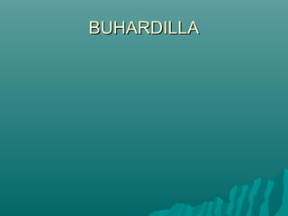 BUHARDILLA
 