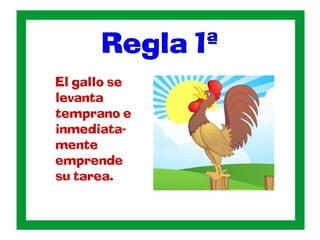 El gallo se
levanta
temprano e
inmediata-
mente
emprende
su tarea.
 