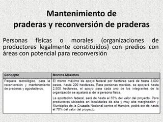 Mantenimiento de
praderas y reconversión de praderas
Personas físicas o morales (organizaciones de
productores legalmente constituidos) con predios con
áreas con potencial para reconversión
 