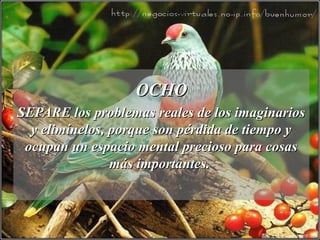 OCHOOCHO
SEPARE los problemas reales de los imaginariosSEPARE los problemas reales de los imaginarios
y elimínelos, porque son pérdida de tiempo yy elimínelos, porque son pérdida de tiempo y
ocupan un espacio mental precioso para cosasocupan un espacio mental precioso para cosas
más importantes.más importantes.
 