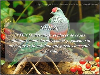NUEVENUEVE
INTENTE descubrir el placer de cosasINTENTE descubrir el placer de cosas
cotidianas como dormir, comer y pasear, sincotidianas como dormir, comer y pasear, sin
creer que es lo máximo que puede conseguircreer que es lo máximo que puede conseguir
en la vida.en la vida.
 