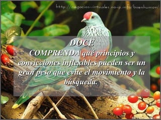 DOCEDOCE
COMPRENDA qué principios yCOMPRENDA qué principios y
convicciones inflexibles pueden ser unconvicciones inflexibles pueden ser un
gran peso que evite el movimiento y lagran peso que evite el movimiento y la
búsqueda.búsqueda.
 
