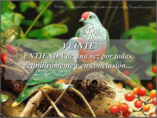 VEINTEVEINTE
ENTIENDA de una vez por todas,ENTIENDA de una vez por todas,
definitivamente y en conclusión....definitivamente y en conclusión....
 