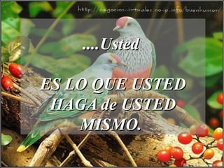 ....Usted....Usted
ES LO QUE USTEDES LO QUE USTED
HAGA de USTEDHAGA de USTED
MISMO.MISMO.
 