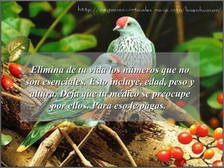 Elimina de tu vida los números que noElimina de tu vida los números que no
son esenciales. Esto incluye, edad, peso yson esenciales. Esto incluye, edad, peso y
altura. Deja que tu médico se preocupealtura. Deja que tu médico se preocupe
por ellos. Para eso le pagas.por ellos. Para eso le pagas.
 