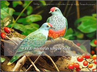 VIVE mientras tengas vida.VIVE mientras tengas vida.
 