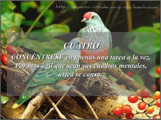 CUATROCUATRO
CONCÉNTRESE en apenas una tarea a la vez.CONCÉNTRESE en apenas una tarea a la vez.
Por mas ágil que sean sus cuadros mentales,Por mas ágil que sean sus cuadros mentales,
usted se cansa.usted se cansa.
 