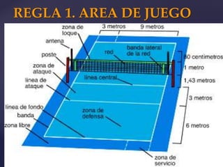 REGLA 1. AREA DE JUEGO
 