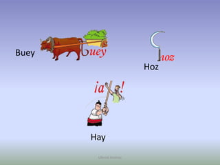   Buey                                                            Hoz                                   HayUllenid Jiménez 