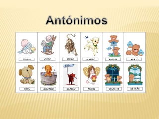 SINONIMOS Y ANTONIMOS BUENA