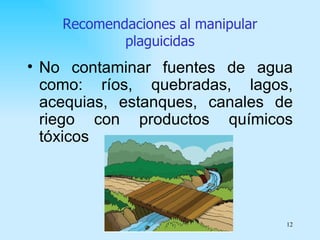 Recomendaciones al manipular
            plaguicidas
• No contaminar fuentes de agua
  como: ríos, quebradas, lagos,
  acequias, estanques, canales de
  riego con productos químicos
  tóxicos




                                   12
 