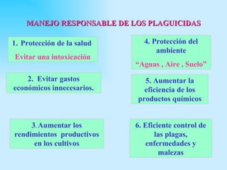 MANEJO RESPONSABLE DE LOS PLAGUICIDAS

1. Protección de la salud     4. Protección del
                                  ambiente
Evitar una intoxicación
                            “Aguas , Aire , Suelo”
    2. Evitar gastos          5. Aumentar la
económicos innecesarios.      eficiencia de los
                            productos químicos


     3. Aumentar los        6. Eficiente control de
rendimientos productivos          las plagas,
      en los cultivos          enfermedades y
                                    malezas
 