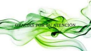 GRACIAS POR SU ATENCIÓN 
