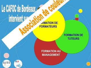 FORMATION DE
 FORMATEURS

                FORMATION DE
                  TUTEURS



 FORMATION AU
 MANAGEMENT
 