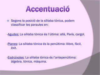 

Segons la posició de la síl·laba tònica, podem
classificar les paraules en:

-Agudes: La síl·laba tònica és l’última: allà, París, cargol.
-Planes: La síl·laba tònica és la penúltima: llibre, fàcil,
èxit.
-Esdrúixoles: La síl·laba tònica és l’antepenúltima:
àlgebra, tònica, màquina.

 