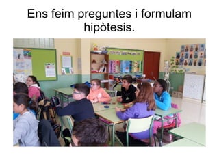 Ens feim preguntes i formulam
hipòtesis.
 