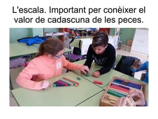 L'escala. Important per conèixer el
valor de cadascuna de les peces.
 